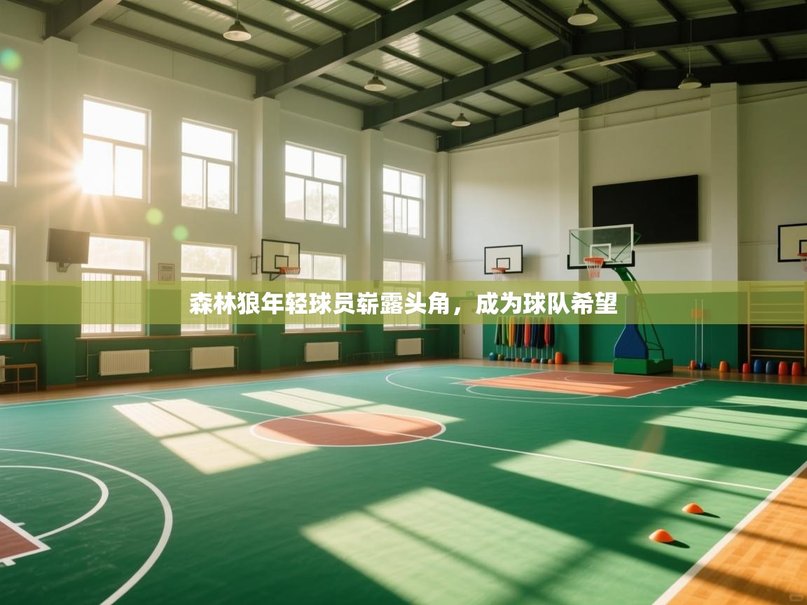 森林狼年轻球员崭露头角，成为球队希望