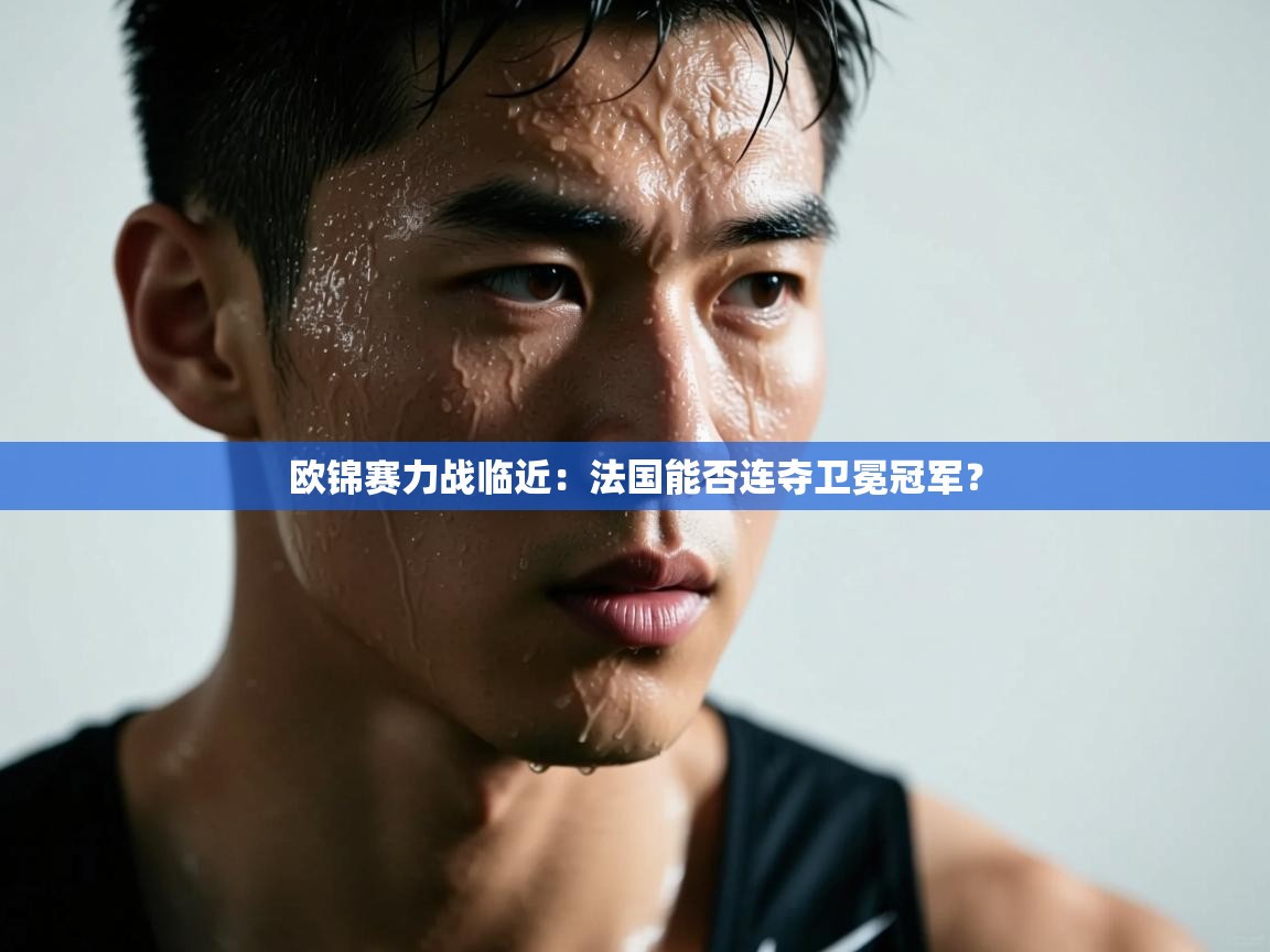 欧锦赛力战临近：法国能否连夺卫冕冠军？  第2张