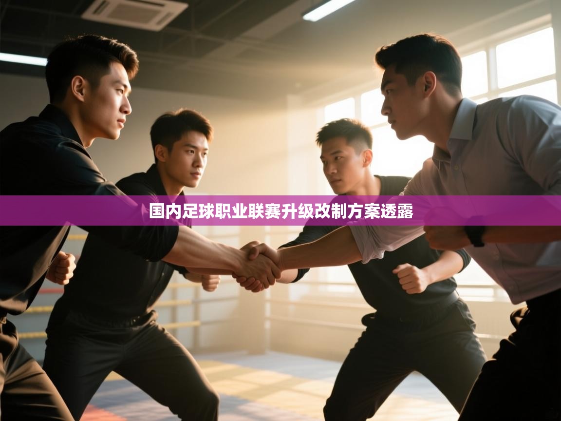 国内足球职业联赛升级改制方案透露 第1张
