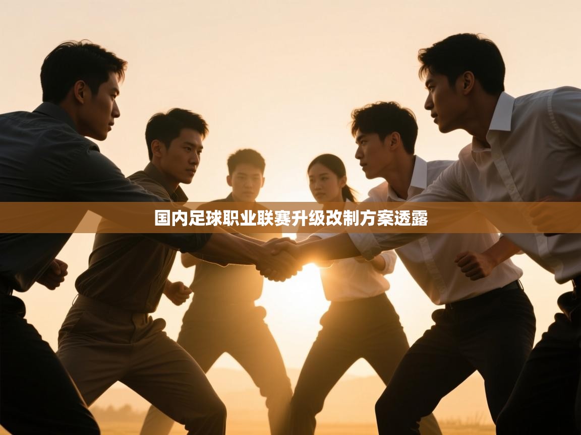 国内足球职业联赛升级改制方案透露 第2张