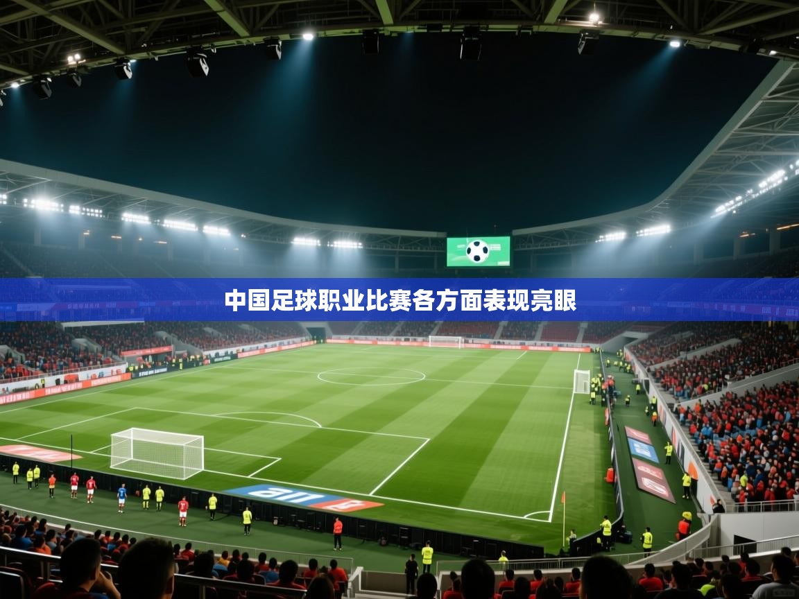 中国足球职业比赛各方面表现亮眼 第2张