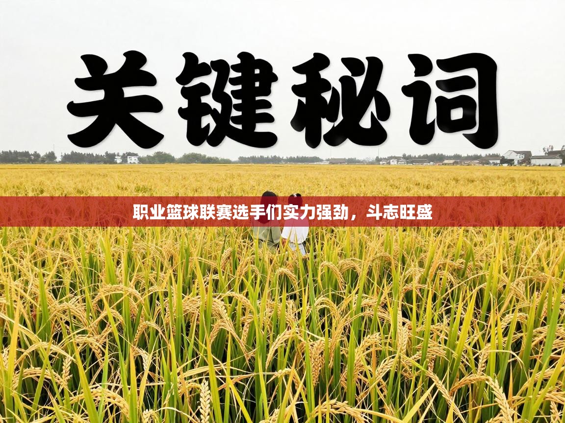 职业篮球联赛选手们实力强劲，斗志旺盛