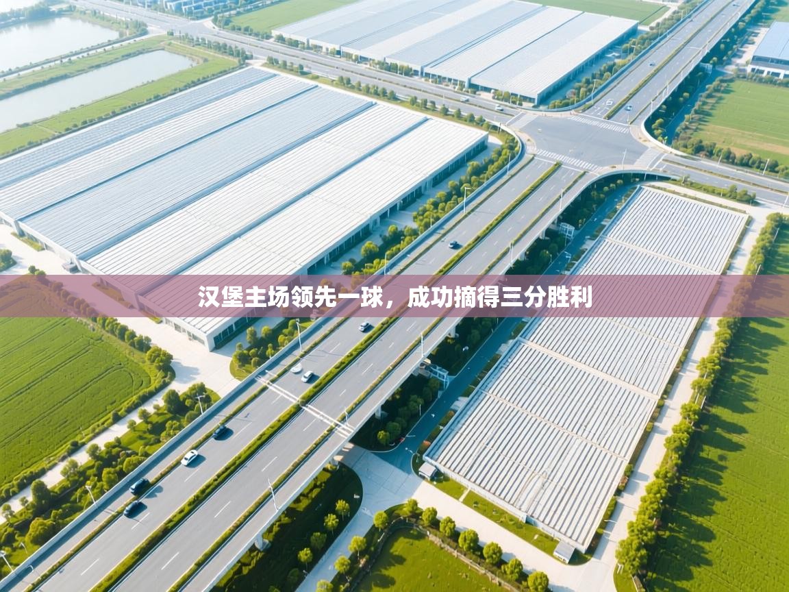 汉堡主场领先一球，成功摘得三分胜利  第1张