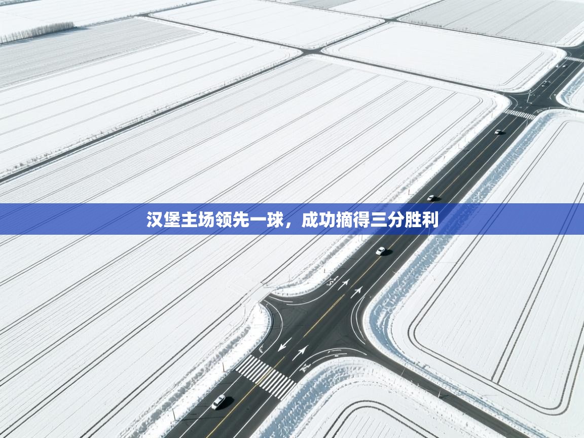 汉堡主场领先一球，成功摘得三分胜利  第2张