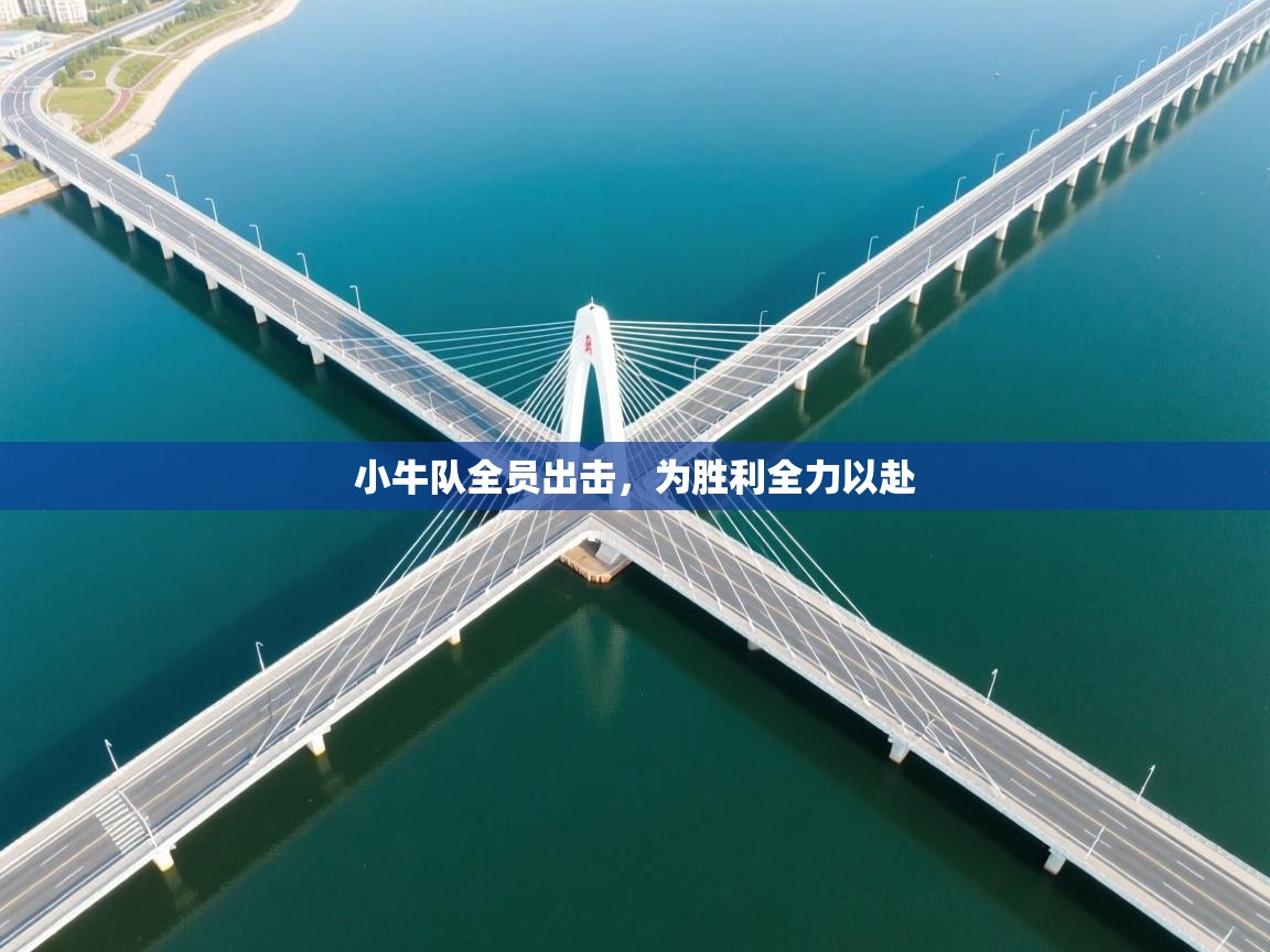 小牛队全员出击，为胜利全力以赴