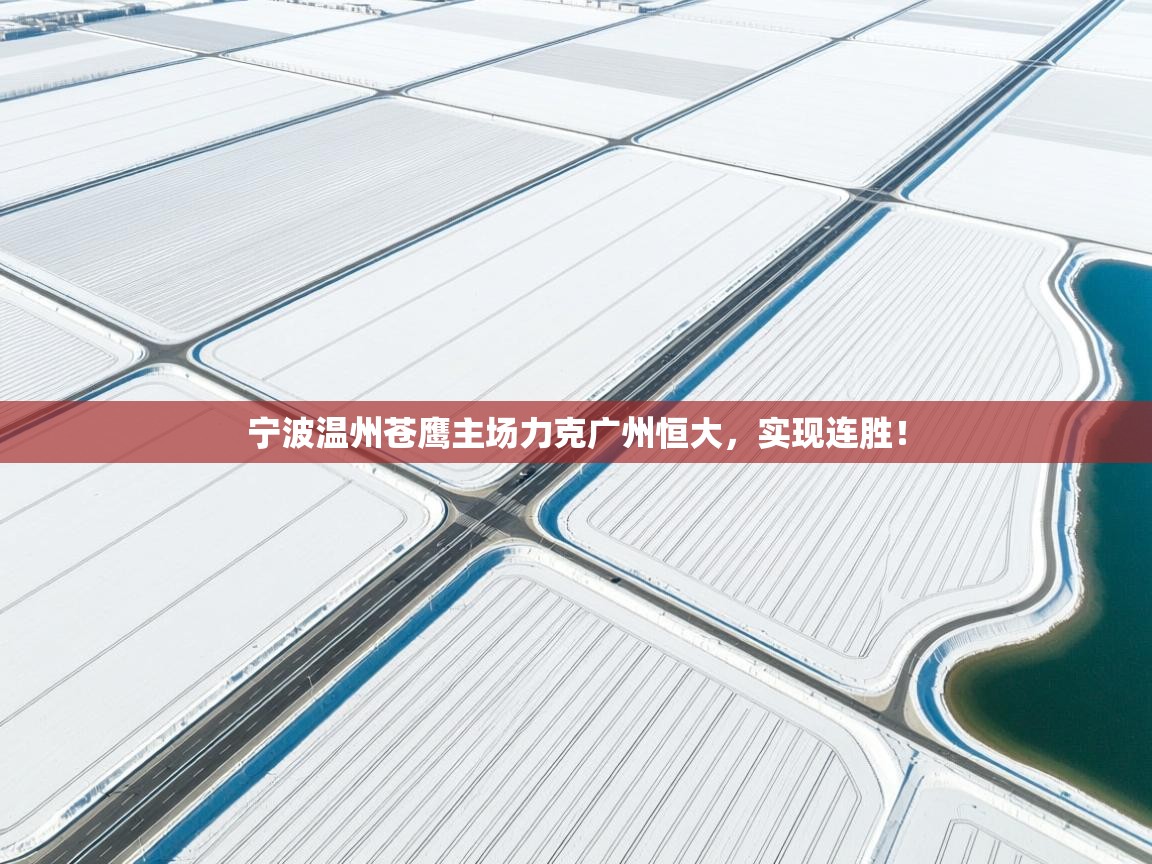 宁波温州苍鹰主场力克广州恒大，实现连胜！  第1张