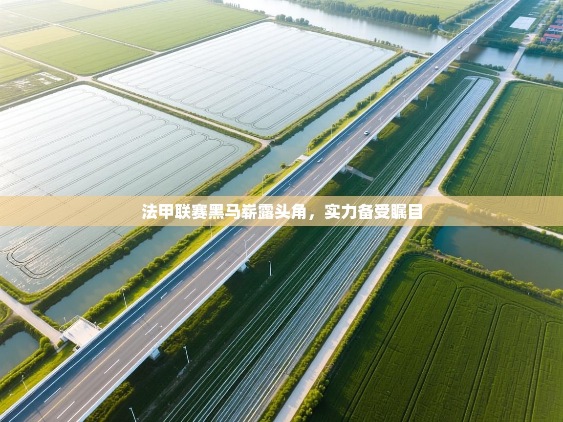 法甲联赛黑马崭露头角，实力备受瞩目  第1张