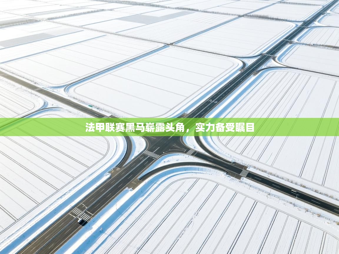 法甲联赛黑马崭露头角，实力备受瞩目  第2张